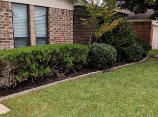 Lara C.'s Flower Bed Weeding service result