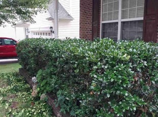 Julian W.'s Bush Trimming service result