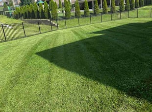 Penny L.'s lawn service service result