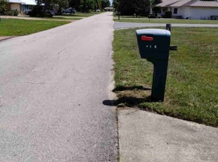 Latoya H.'s lawn maintenance service result