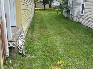 Paul R.'s turf maintenance service result