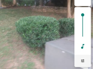 Jaemale W.'s Bush Trimming service result