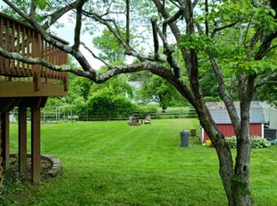 Chris B.'s grass maintenance service result