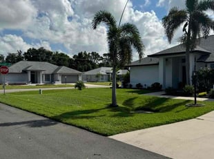 Collin C.'s lawn care service result