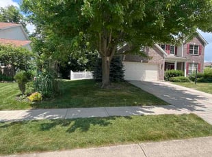 Sandra L.'s lawn care service result