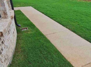 Hargrow P.'s turf care service result