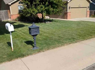 Melissa S.'s grass cutting service result