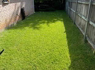 Allegra F.'s lawn service service result