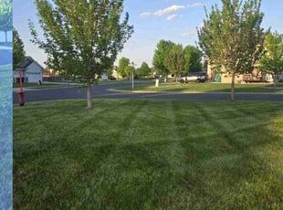 Ty B.'s lawn service service result