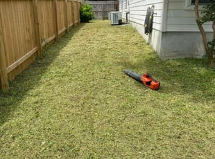 Mary M.'s grass maintenance service result