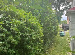 Jo J.'s Bush Trimming service result