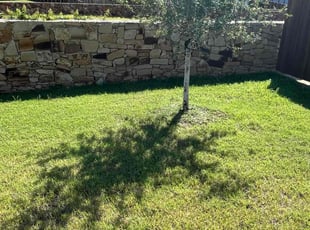 Michael L.'s turf maintenance service result