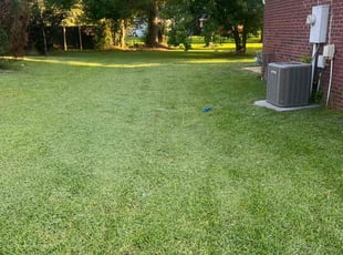 Kevin M.'s lawn care service result