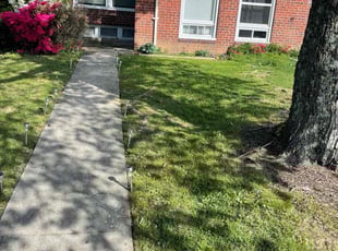 Brandon B.'s lawn care service result