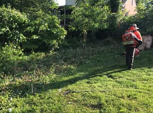 Karen S.'s Bush Trimming service result