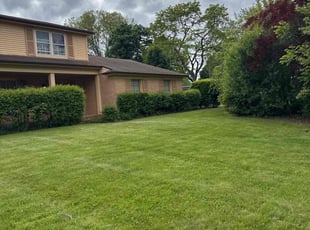 Franklin R.'s grass cutting service result