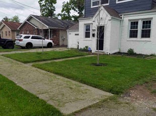 Ariel F.'s Long Grass Cleanup service result