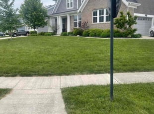 Nicole S.'s lawn care service result