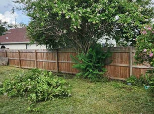 Jack P.'s Bush Trimming service result