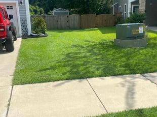 Jim T.'s lawn maintenance service result