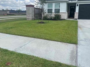 Dieudonne A.'s turf maintenance service result