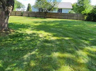 Jeorge C.'s lawn service service result