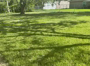 Brooke H.'s grass cutting service result