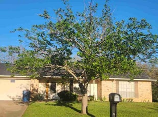 Jacob W.'s lawn care services service result
