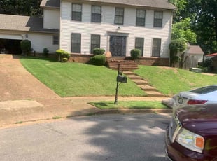 Kay B.'s lawn care service result