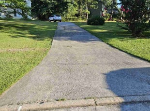 Vincent G.'s lawn care service result