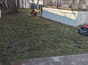 Pam D.'s Leaf Removal service result