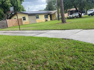 Belinda T.'s grass cutting service result