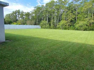 Tess R.'s turf maintenance service result