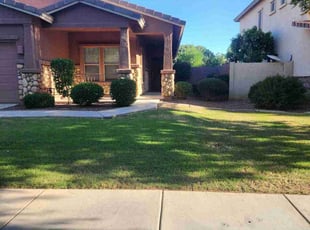 Erica G.'s Bush Trimming service result