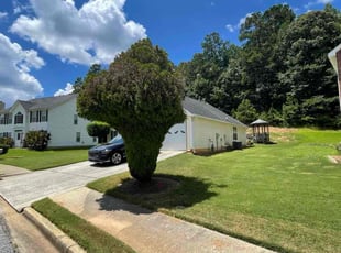 Leroy B.'s lawn care service result