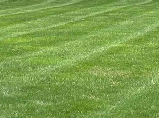 Glen R.'s residential landscaping service result