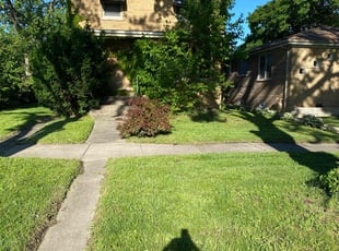 Tory M.'s grass maintenance service result