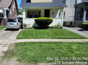 Marcia D.'s landscaping services service result