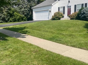 Philip W.'s lawn care service result