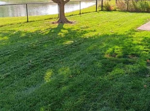 Brent C.'s lawn service service result
