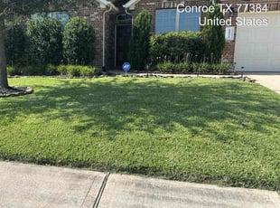 Leland S.'s grass cutting service result
