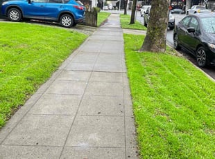 Teisha C.'s lawn care service result
