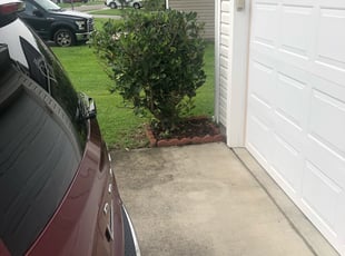John R.'s Bush Trimming service result