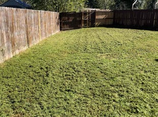 Matt B.'s lawn care services service result