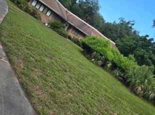 Tina G.'s grass cutting service result