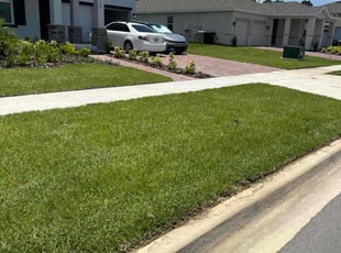 Lora J.'s lawn care services service result