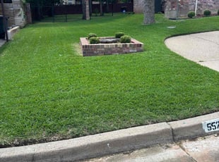 Brian L.'s grass maintenance service result