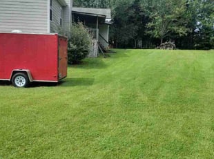 Alesia H.'s lawn care services service result