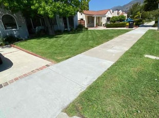 Mani S.'s lawn care services service result