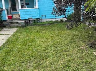 Anne H.'s lawn maintenance service result